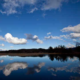 Alsea Inlet by Rick LePage