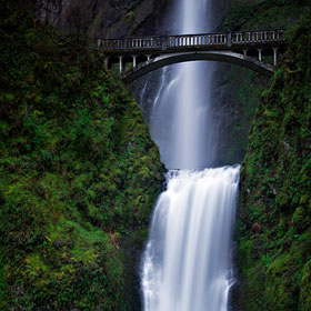 Multnomah Falls by Mike Wong