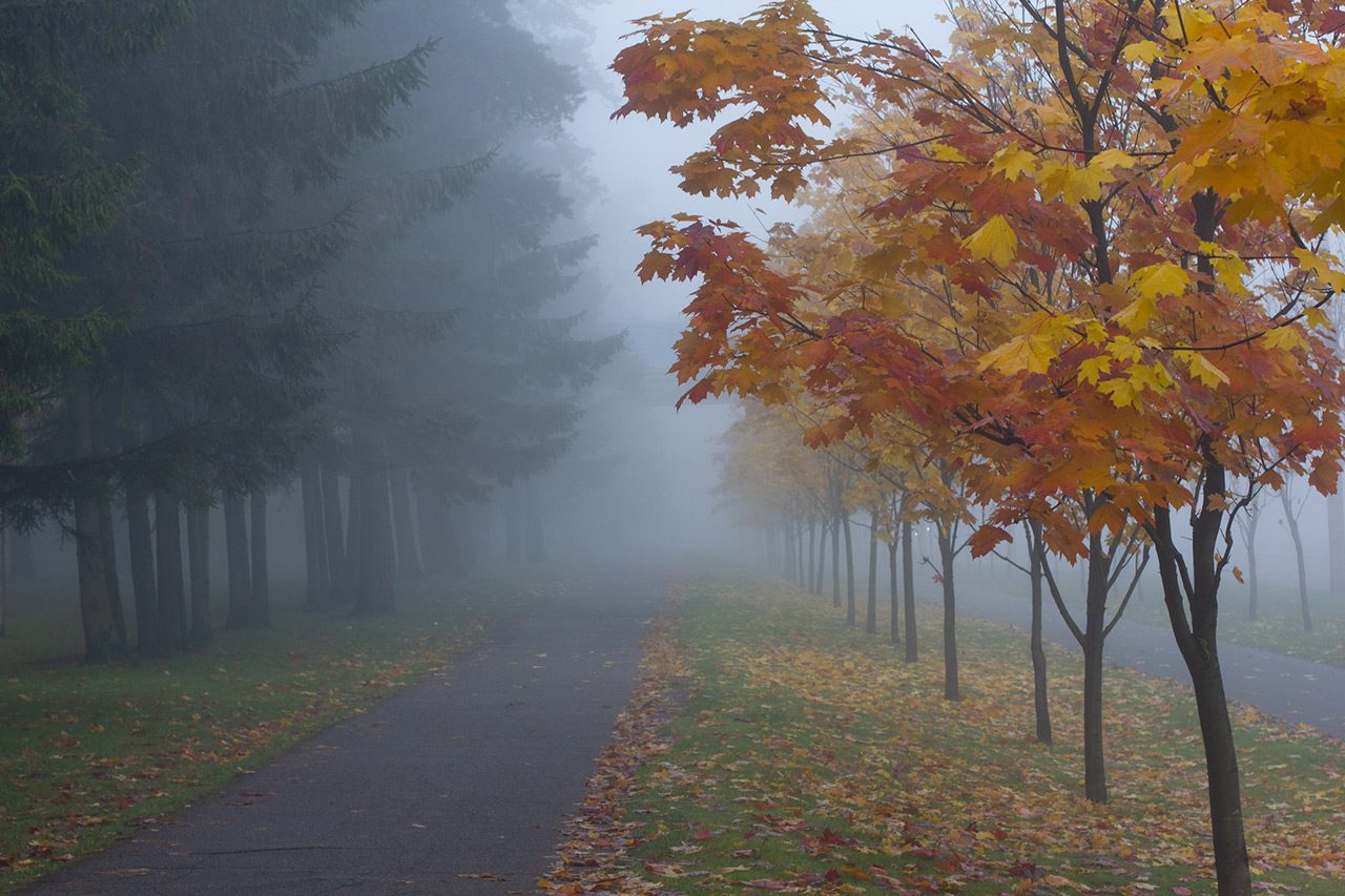 Fall Landscape - Before