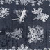 Winter Frost Brushes