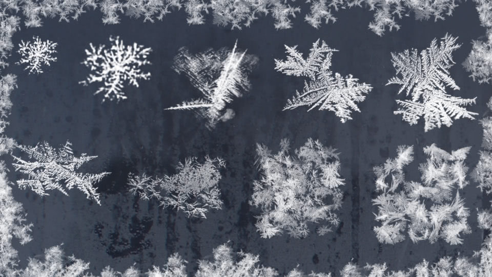Winter Frost Brushes