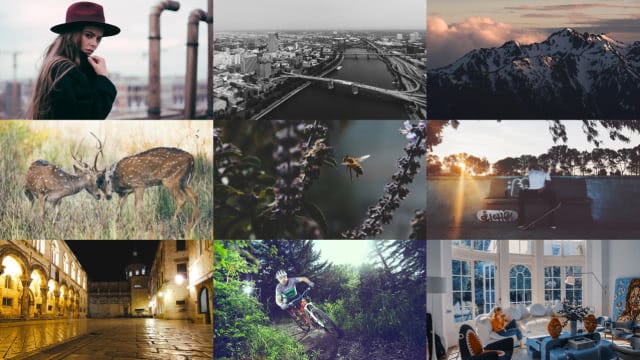 Grid of photos showing free LUTs applied across portrait, landscape, urban, and wildlife shots