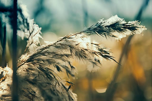 Before Winter Wonderland Presets by Contrastly