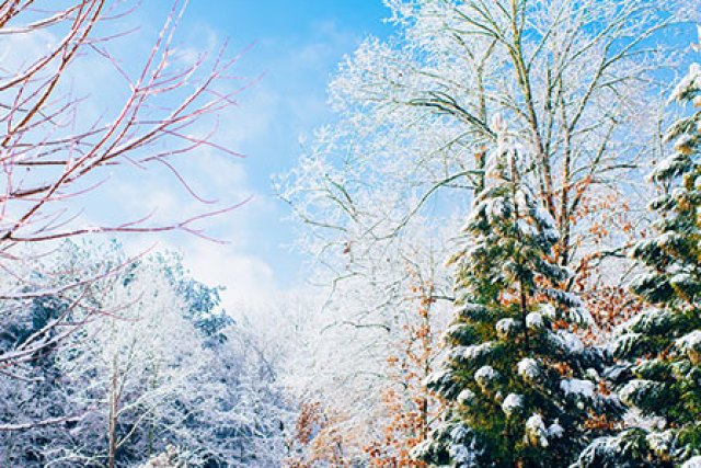 After Winter Wonderland Presets by Contrastly