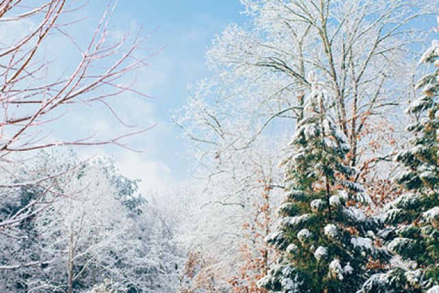 Before Winter Wonderland Presets by Contrastly