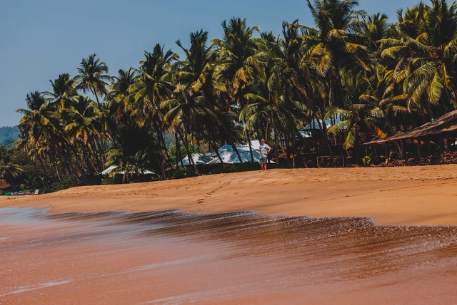 After: Palm trees along a sandy tropical beach, edited with the free Color Boost LUTs