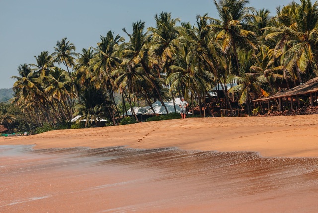 Before: Palm trees along a sandy tropical beach