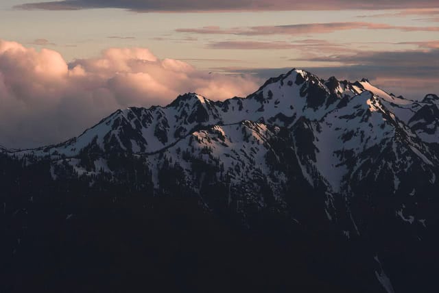After Landscape LUTs