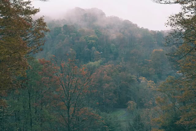 After Landscape LUTs