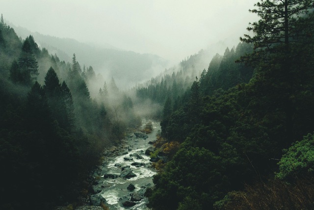 After: Misty forest valley with a rocky river, edited with the free Moody LUTs