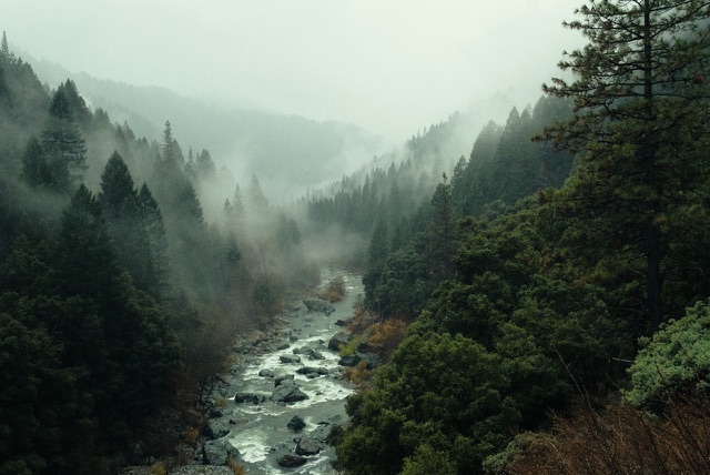 Before: Misty forest valley with a rocky river