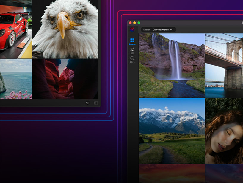 Organize and browse your photos