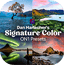 Dan Harlacher's Signature Color Presets