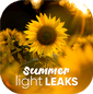 Summer Light Leaks
