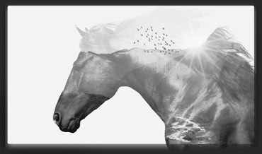 Turn Ordinary Shots into Art with Double Exposure