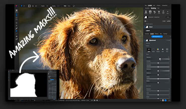 One-Click Subject and Background Masking