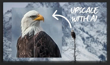 Turn Tiny, Noisy Images into Huge Photo Enlargements