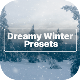 Dreamy Winter Presets