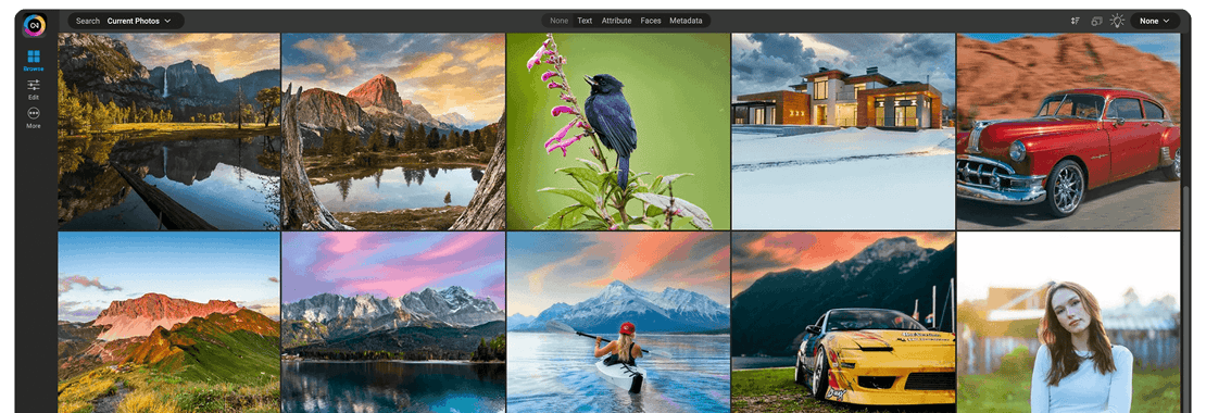 ON1 Photo RAW MAX browsing a grid of landscape, wildlife, and portrait photos
