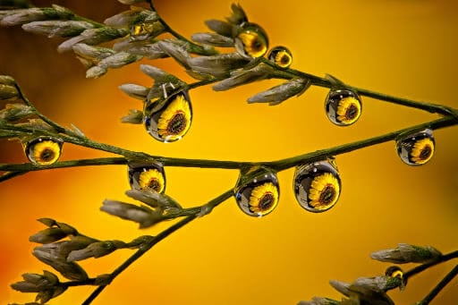 Al Stegeman - These Eyes Are Watching You!