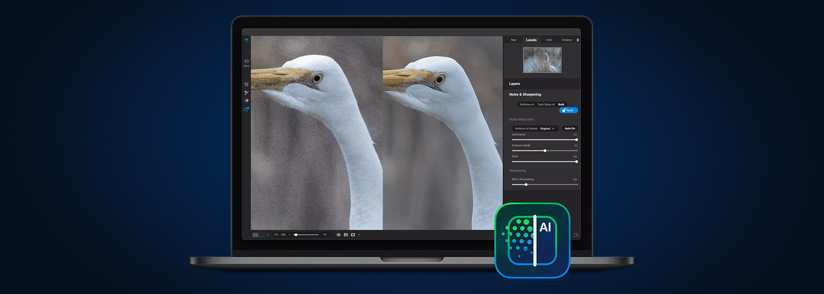 Comparing Creative AI Tools