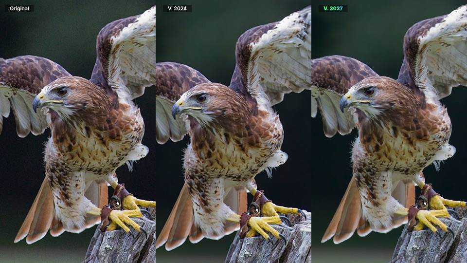 Red-tailed hawk noise reduction compared: the original frame, ON1 NoNoise AI 2024, and ON1 NoNoise AI 2027
