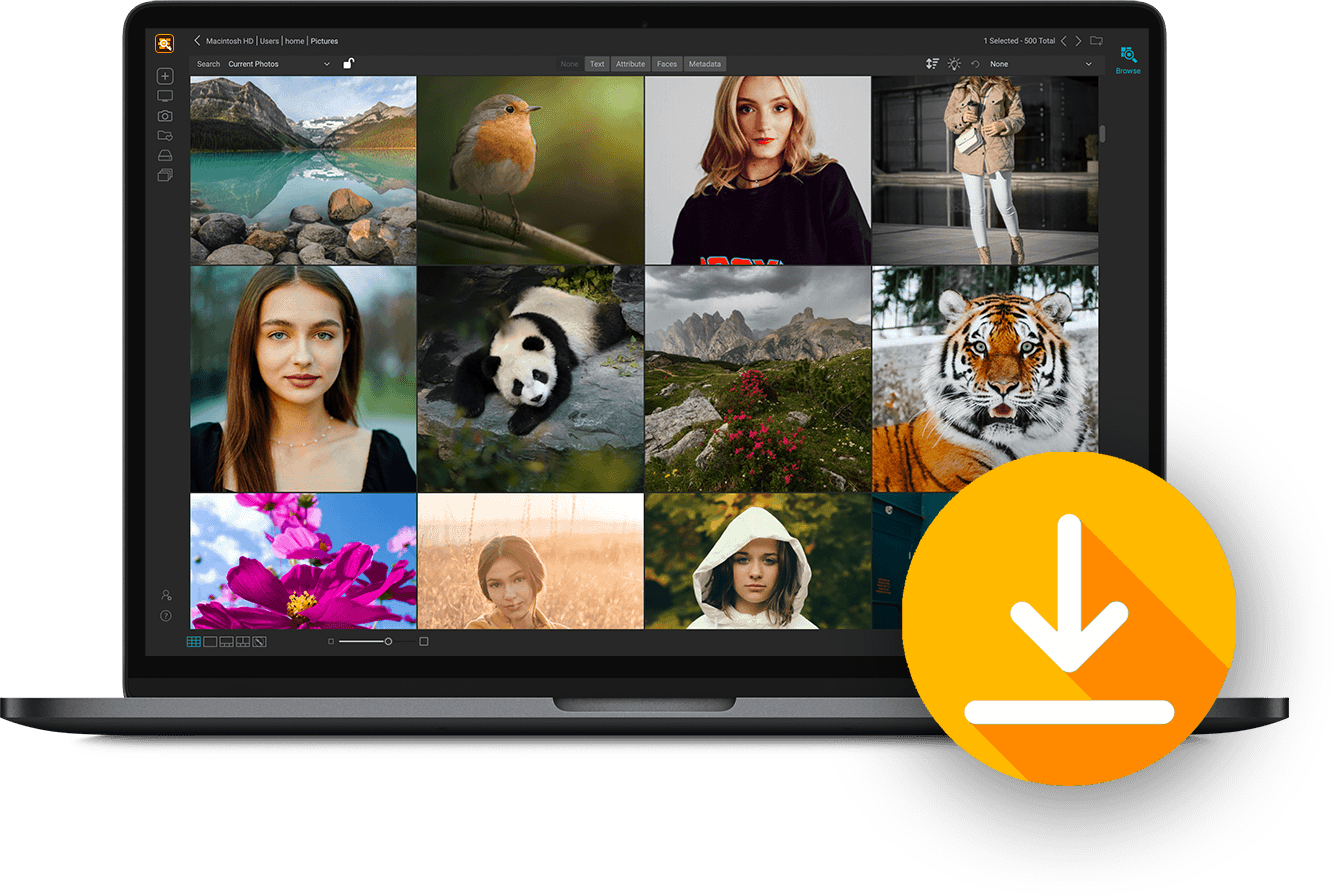 Ai photo organizer sorting software on1