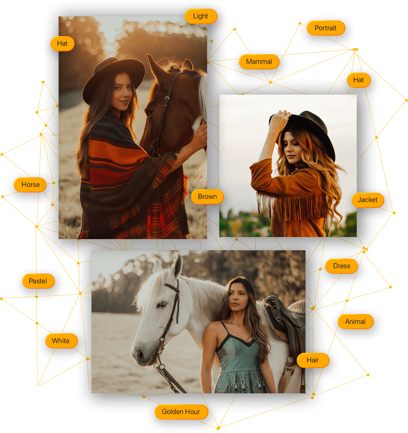 AI Photo Organizer & Sorting Software - ON1