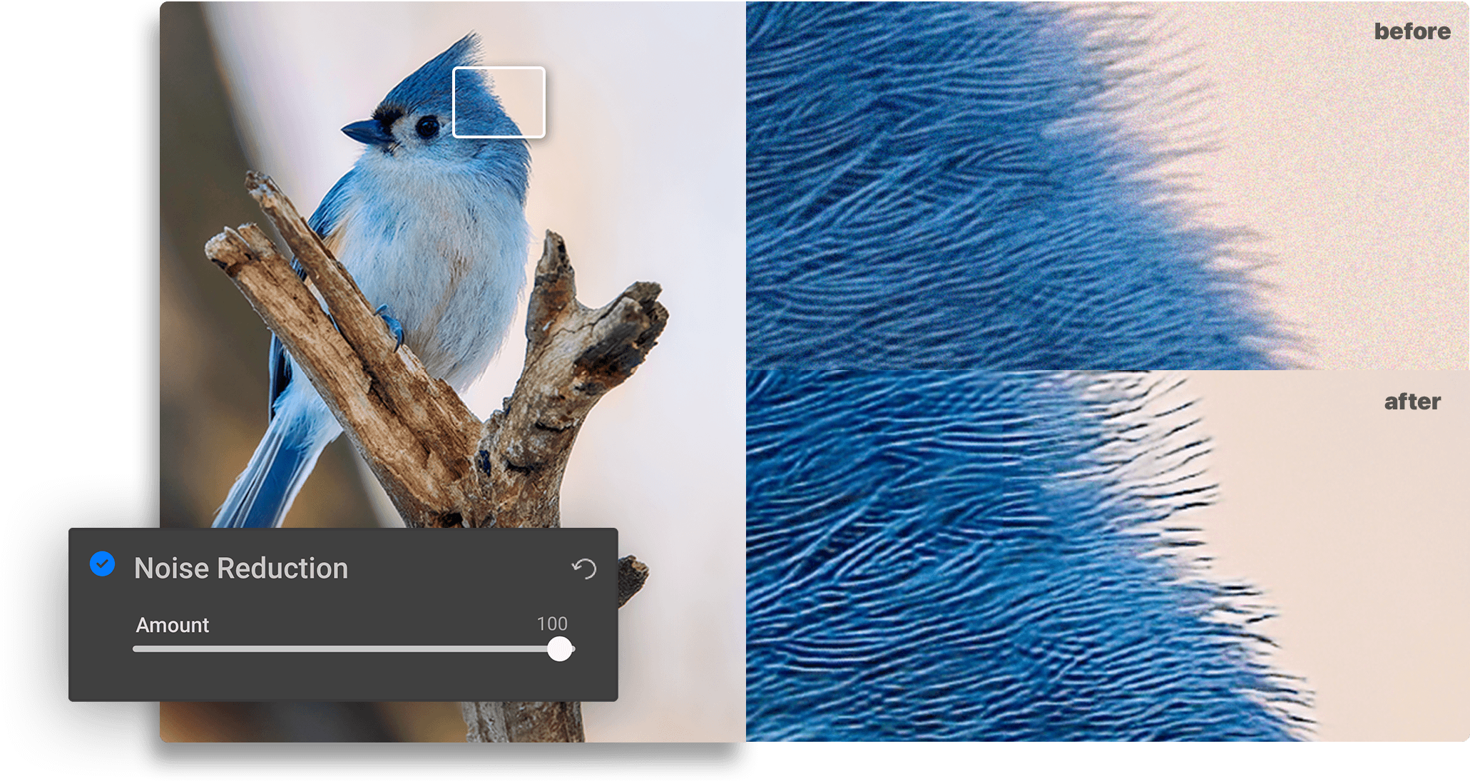 Ai Image Resizer Photo Enlargement Software On1 Ai Image Resizer Photo Enlargement Software On1