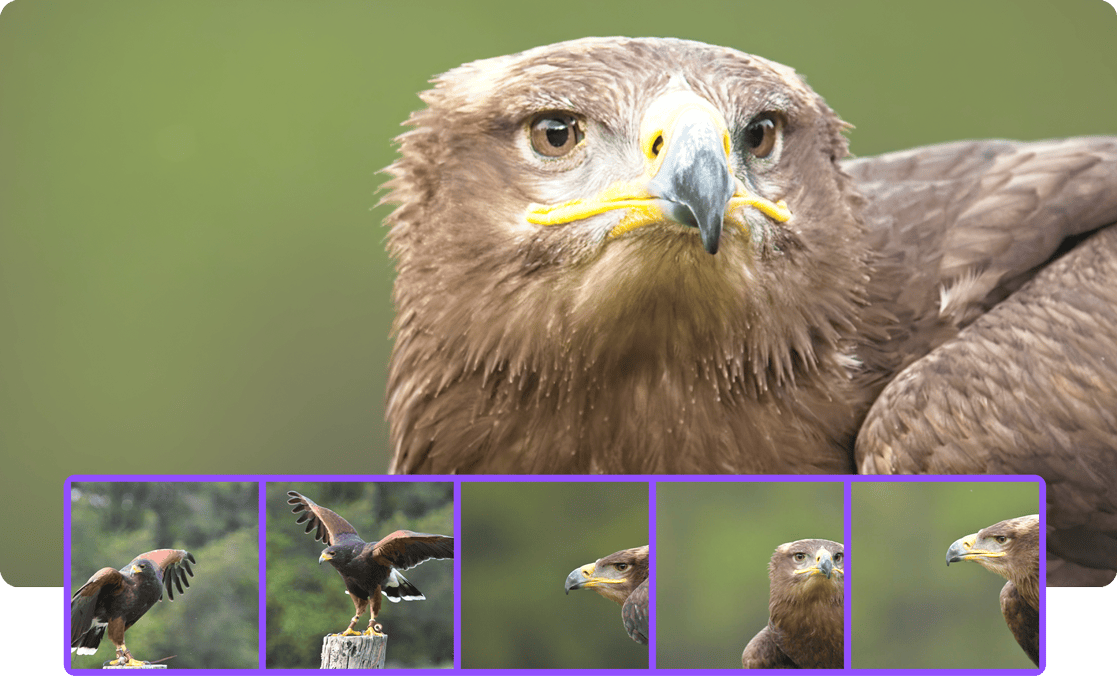 Batch Resize & Export with Ease in Resize AI