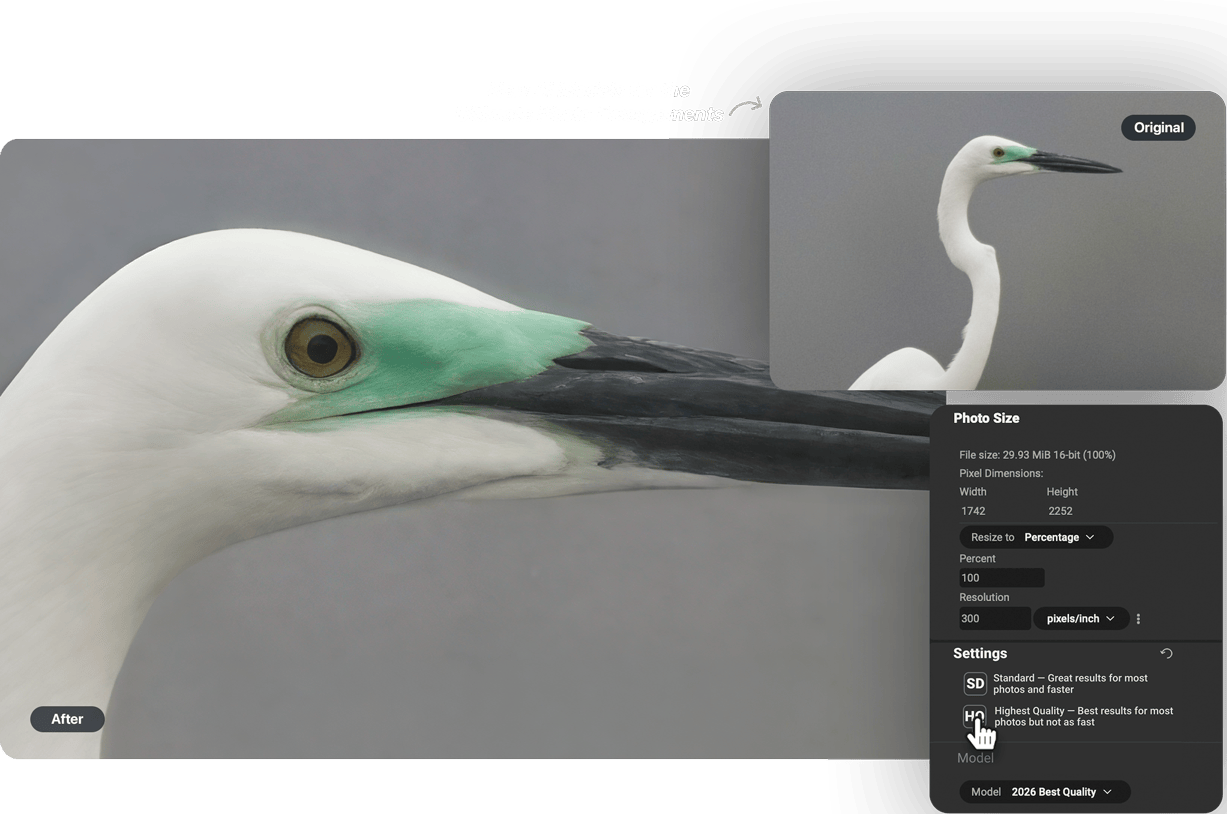 New AI Models for the Ultimate Photo Enlargements