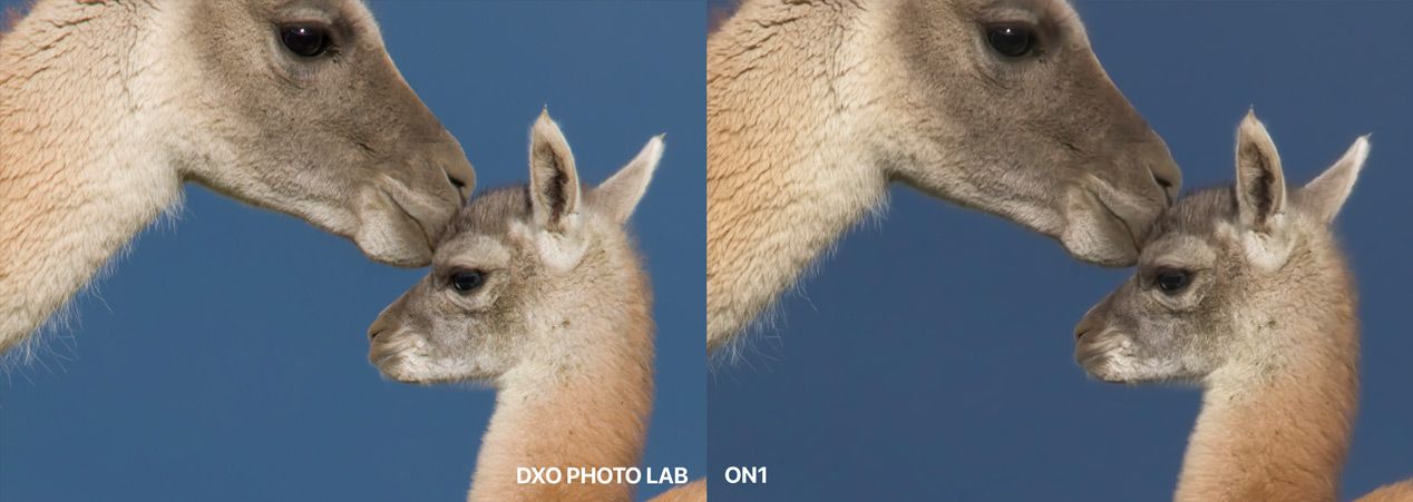 DxO Photo Lab Compared to ON1 at 200%