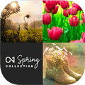The ON1 Spring Bundle