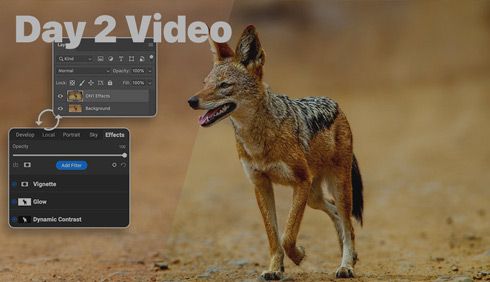 Enhance Any Photo Editing Workflow with Photo RAW MAX