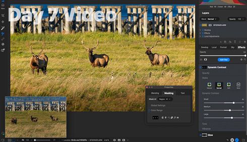 Navigating ON1 Photo RAW 2024: What's New in the UI?
