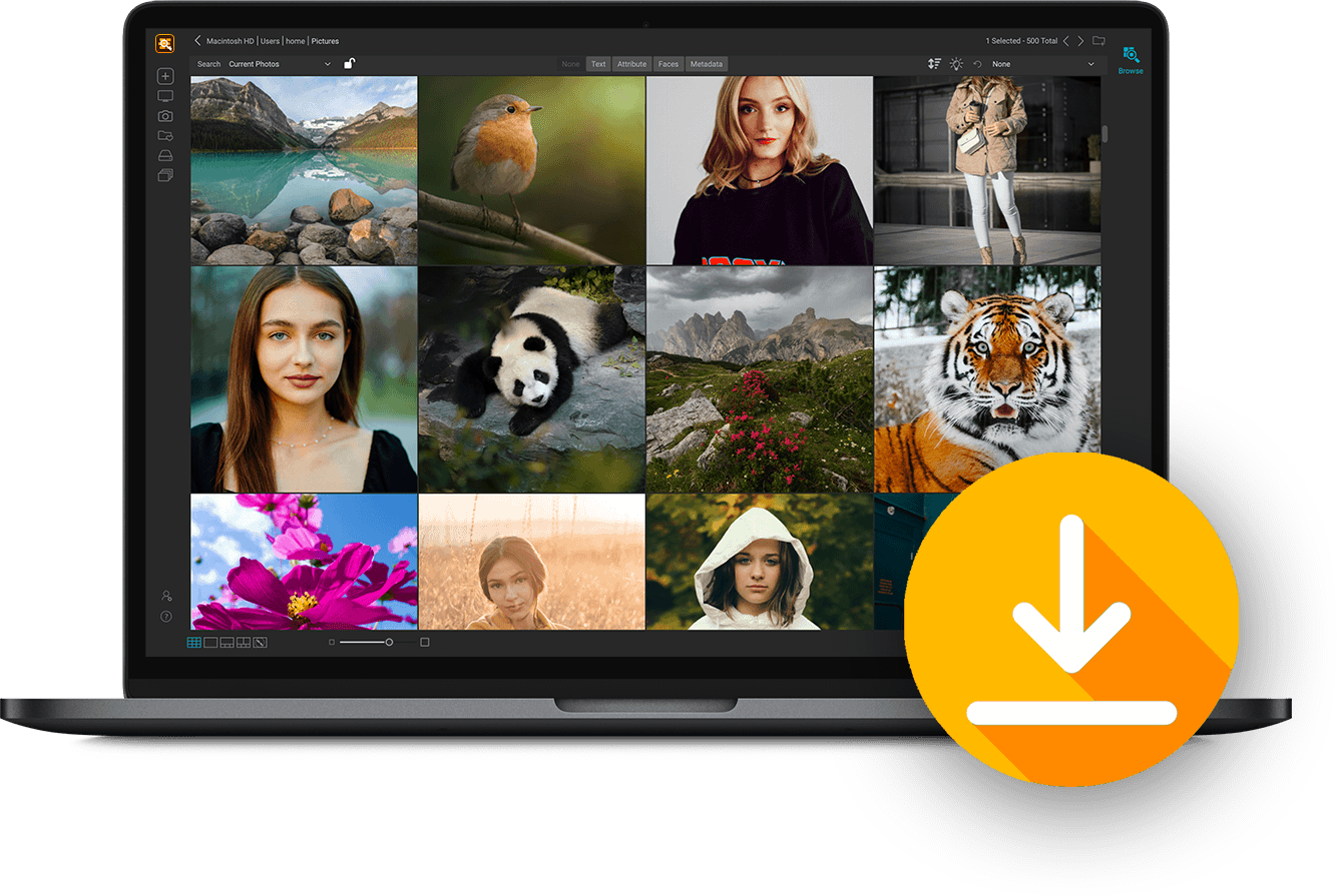 AI Photo Organizer & Sorting Software - ON1