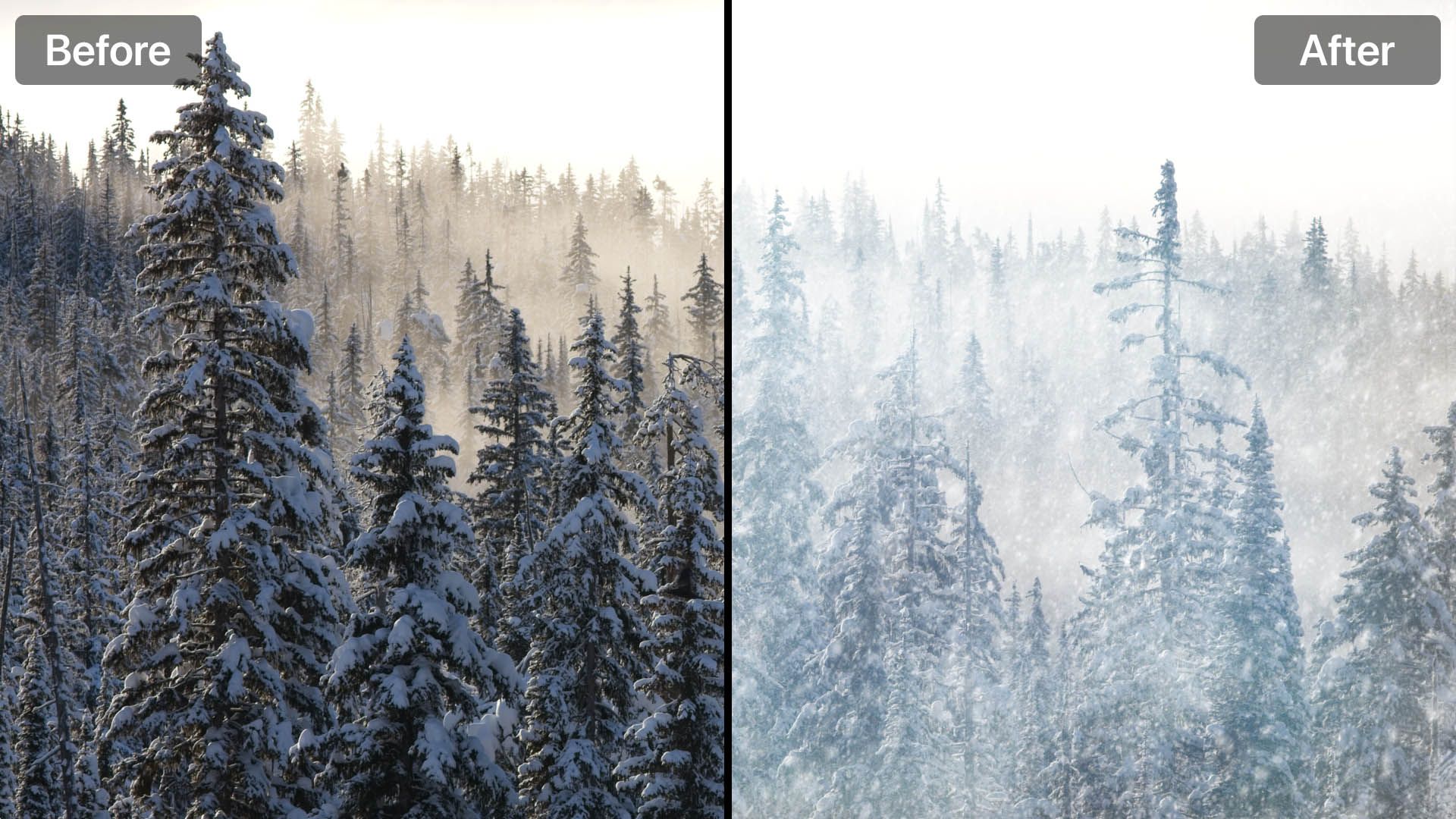 on1 photo raw 2022 on1 photo raw 2022