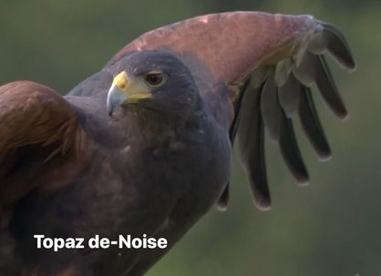 Topaz de-Noise