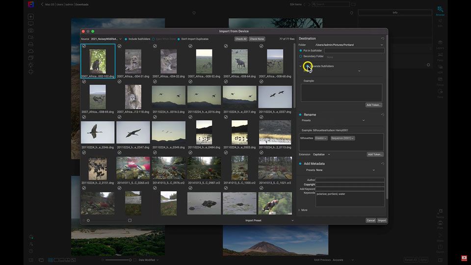 New Enhancements to Make Photo Editing Smoother