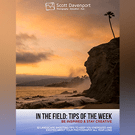 In The Field: Tips of the Week 