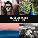 Hudson Henry Core LUTs 
