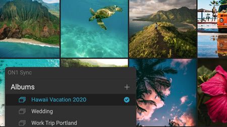 You choose the photos to sync.